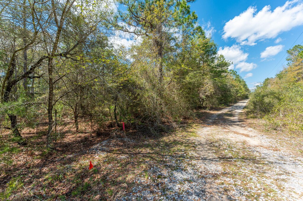 TBD Wildwood Lakes Dr, Defuniak Springs, FL 32435 - photo 4