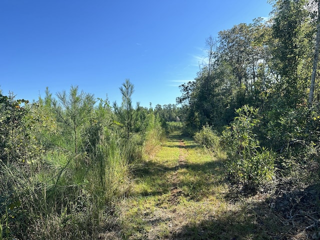 ParcelJ Buck Tyner Road, Laurel Hill, FL 32567