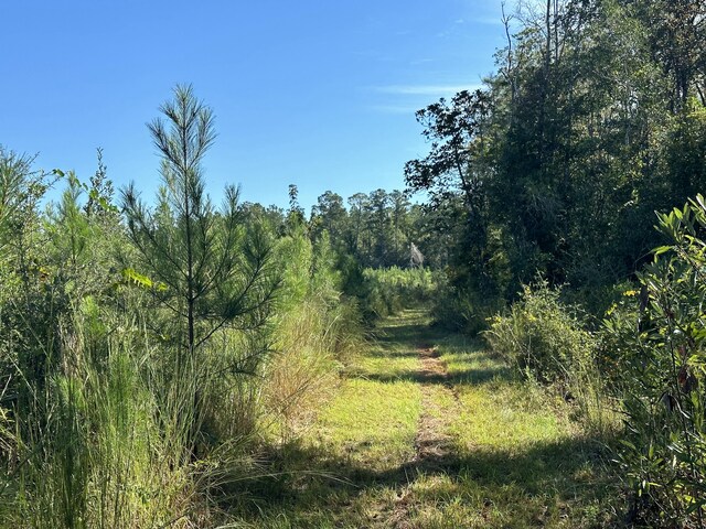 ParcelJ Buck Tyner Road, Laurel Hill, FL 32567