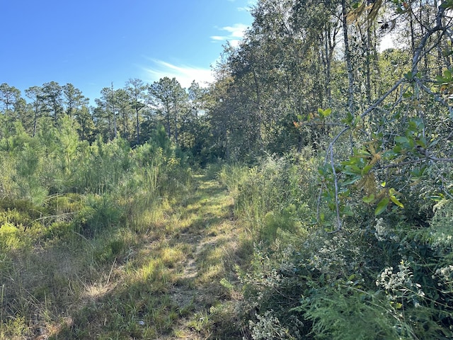 ParcelJ Buck Tyner Road, Laurel Hill, FL 32567