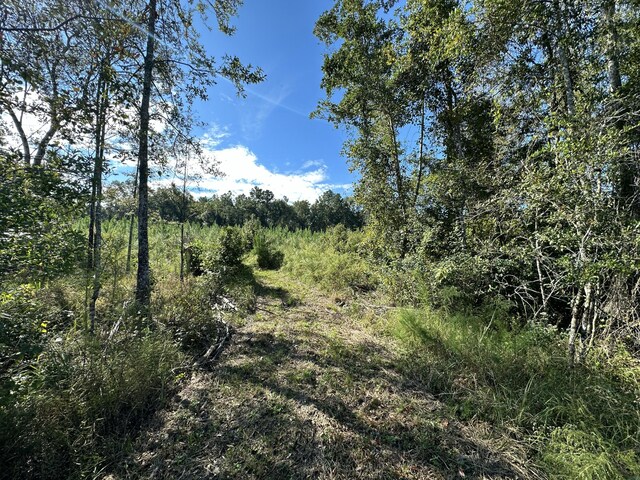 ParcelJ Buck Tyner Road, Laurel Hill, FL 32567