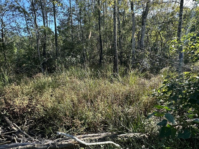 ParcelJ Buck Tyner Road, Laurel Hill, FL 32567