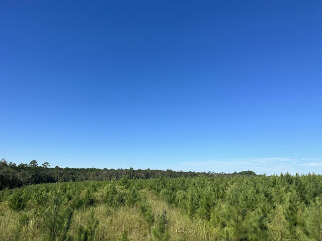 ParcelJ Buck Tyner Road, Laurel Hill, FL 32567