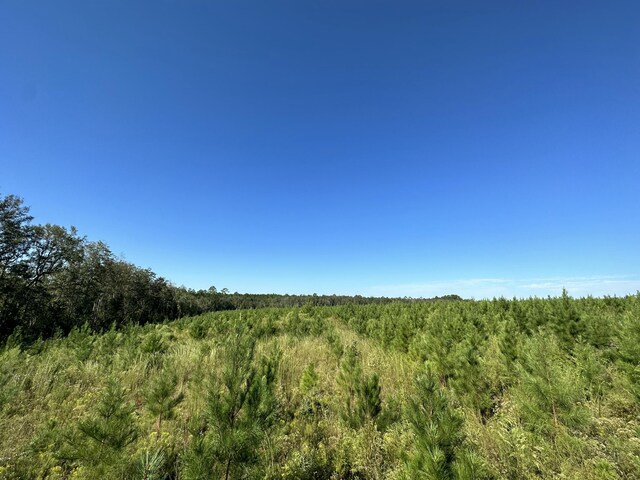 ParcelJ Buck Tyner Road, Laurel Hill, FL 32567