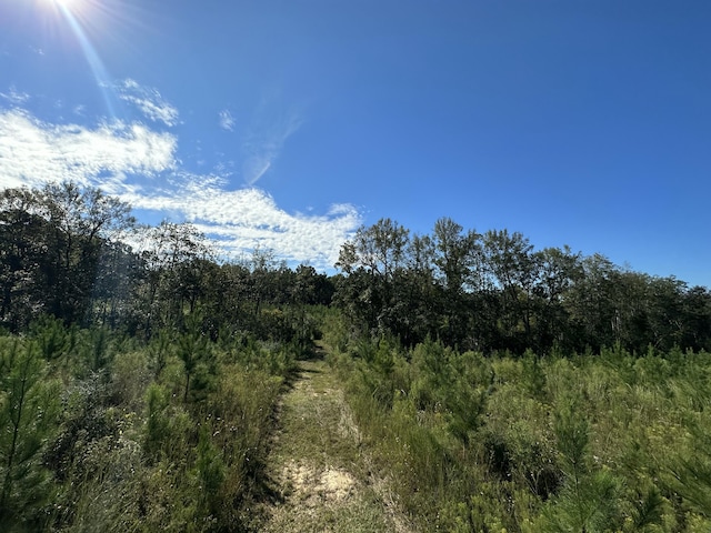 ParcelJ Buck Tyner Road, Laurel Hill, FL 32567