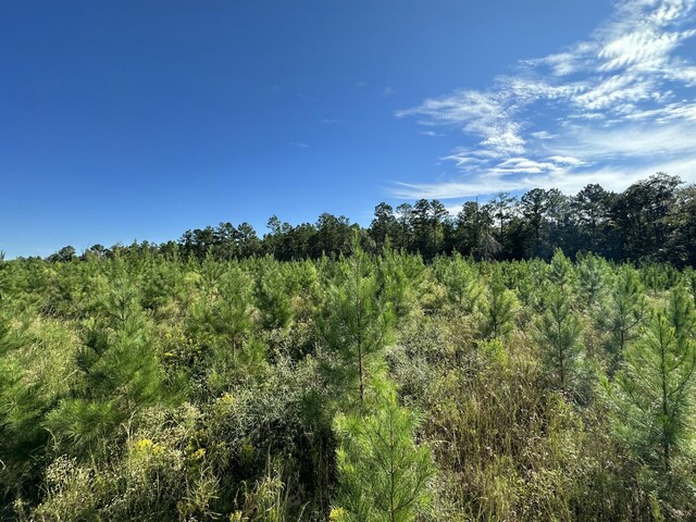 ParcelJ Buck Tyner Road, Laurel Hill, FL 32567