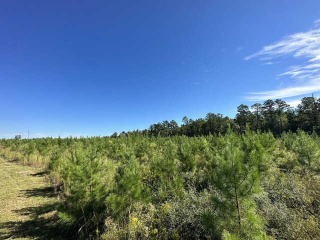 ParcelJ Buck Tyner Road, Laurel Hill, FL 32567