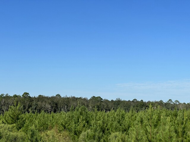 ParcelJ Buck Tyner Road, Laurel Hill, FL 32567