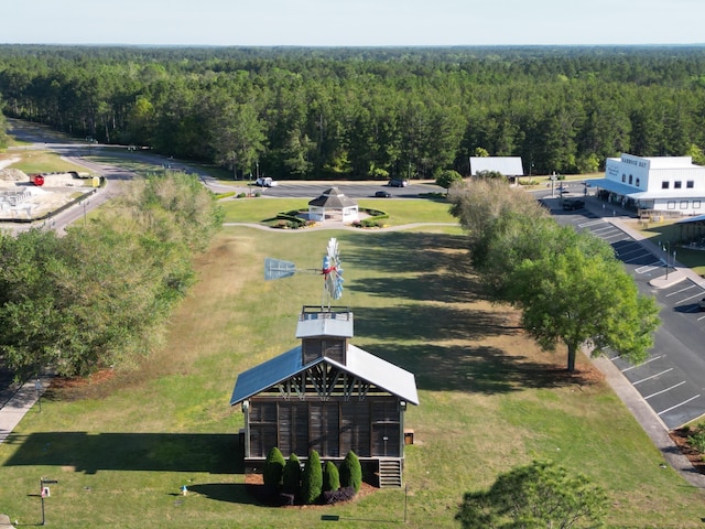 194 Mill Pond Cv, Freeport, FL 32439 - drone / aerial view of a heavily wooded area