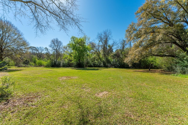 24776 Fifth Ave, Florala, AL 36442 - view of yard