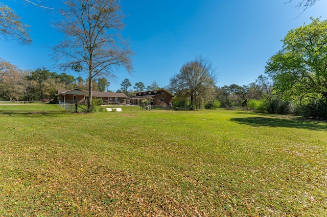 24776 Fifth Ave, Florala, AL 36442 - view of yard