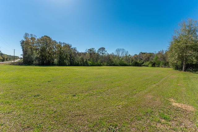 24776 Fifth Ave, Florala, AL 36442 - view of yard