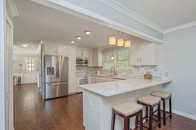 24776 Fifth Ave, Florala, AL 36442 - kitchen featuring appliances with stainless steel finishes, dark wood-type flooring, a peninsula, and ornamental molding