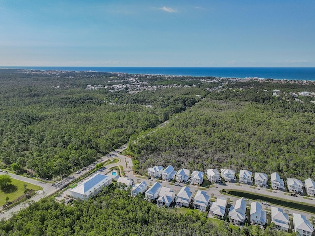 290 White Cottage Rd, Santa Rosa Beach, FL 32459 - aerial view featuring a wooded view and a water view