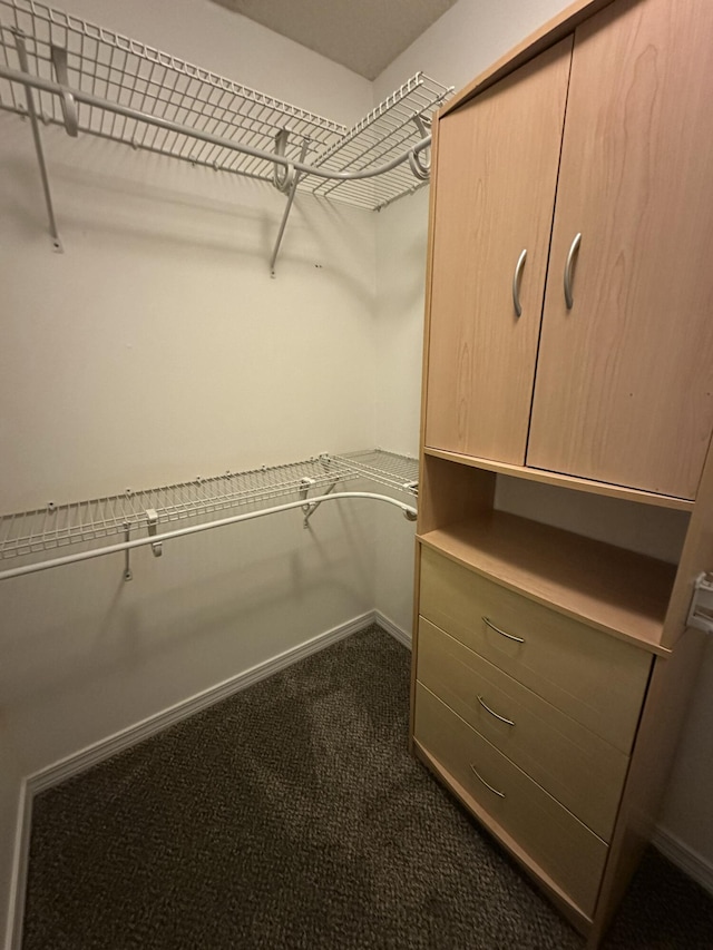 walk in closet featuring dark colored carpet