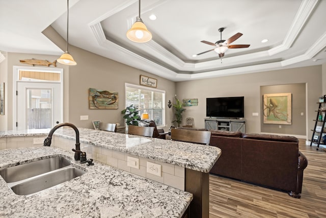 kitchen featuring a raised ceiling, a sink, wood finished floors, and ceiling fan