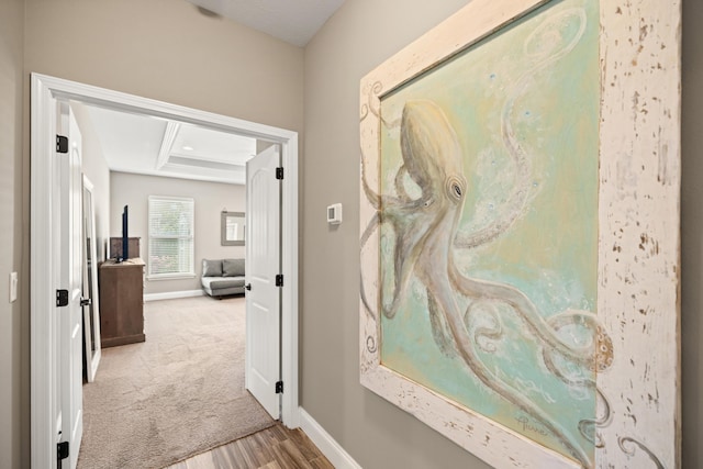 corridor with baseboards, carpet flooring, a tray ceiling, and wood finished floors