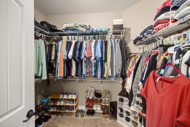 spacious closet featuring carpet flooring