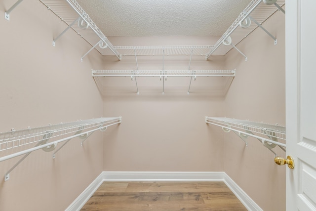 walk in closet with wood finished floors
