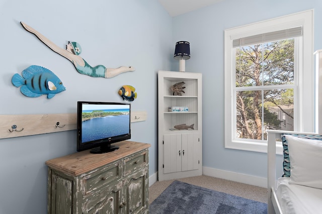 68 N Ryan St, Santa Rosa Beach, FL 32459 - interior space with carpet flooring and baseboards