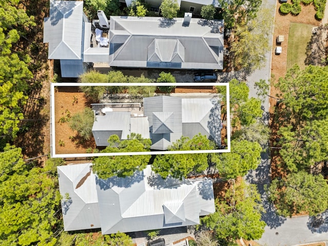 bird's eye view