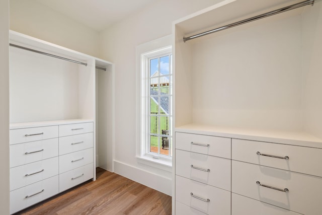 342 Windsong Dr, Inlet Beach, FL 32461 - spacious closet with light wood-style floors
