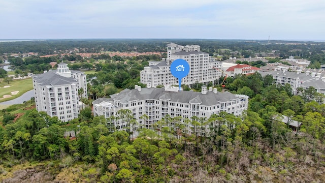 drone / aerial view