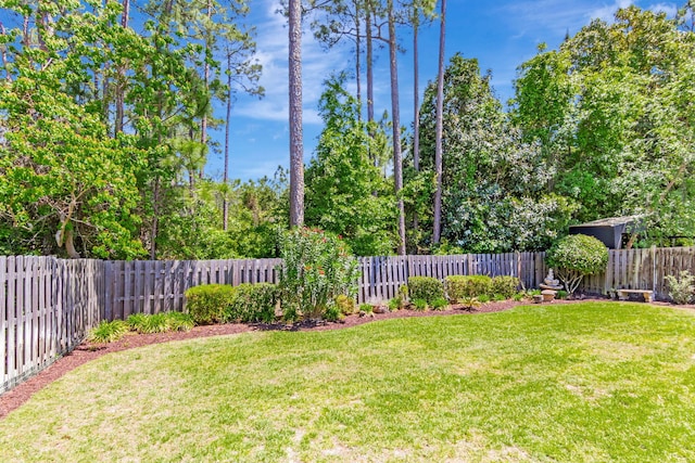 256 Cocobolo Dr, Santa Rosa Beach, FL 32459 - view of yard with a fenced backyard