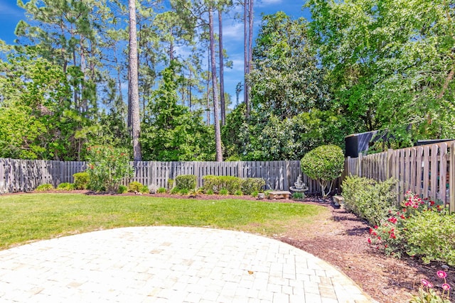 256 Cocobolo Dr, Santa Rosa Beach, FL 32459 - view of yard with a fenced backyard and a patio