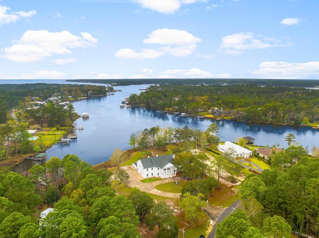 680 Mallet Bayou Rd, Freeport, FL 32439 - bird's eye view featuring a water view and a view of trees