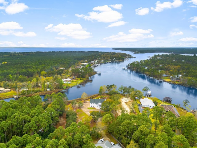 680 Mallet Bayou Rd, Freeport, FL 32439 - drone / aerial view with a water view and a wooded view