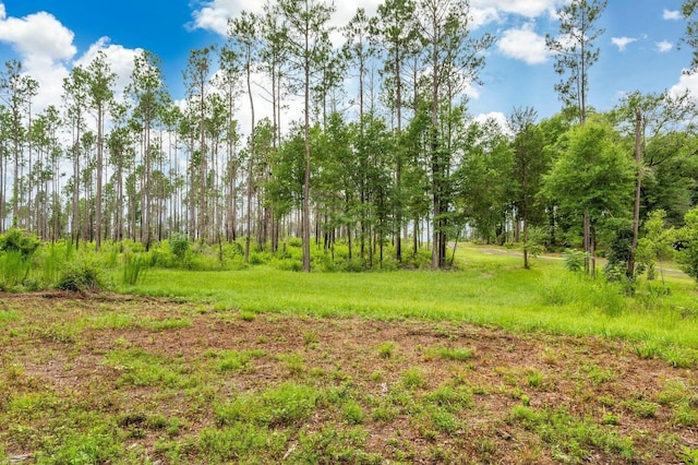TBD Highway 602 10Ac+/-, Laurel Hill, FL 32567