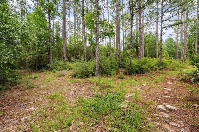 TBD Highway 602 10Ac+/-, Laurel Hill, FL 32567