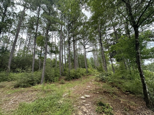 TBD Highway 602 10Ac+/-, Laurel Hill, FL 32567