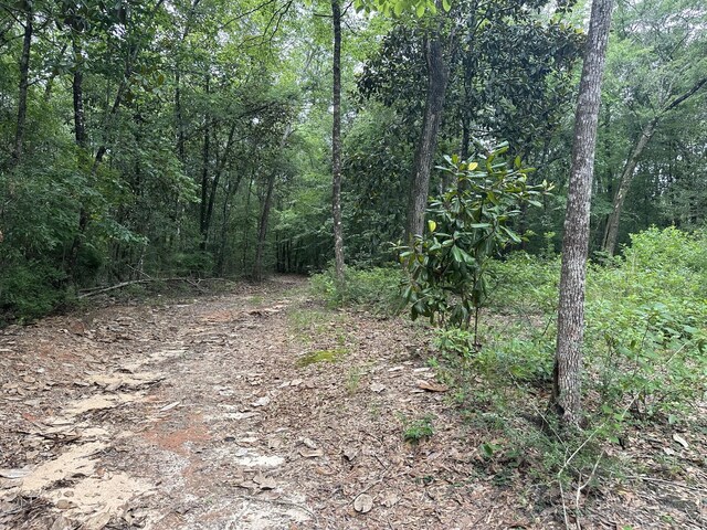 TBD Highway 602 10Ac+/-, Laurel Hill, FL 32567