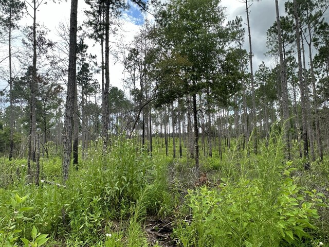 TBD Highway 602 10Ac+/-, Laurel Hill, FL 32567
