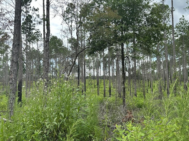 TBD Highway 602 10Ac+/-, Laurel Hill, FL 32567