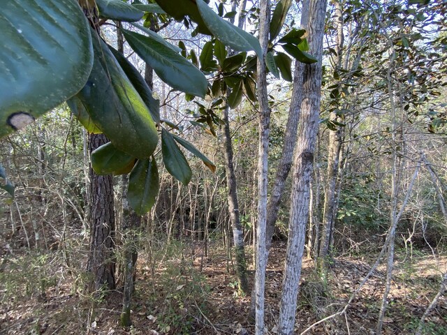 TBD Highway 602 10Ac+/-, Laurel Hill, FL 32567
