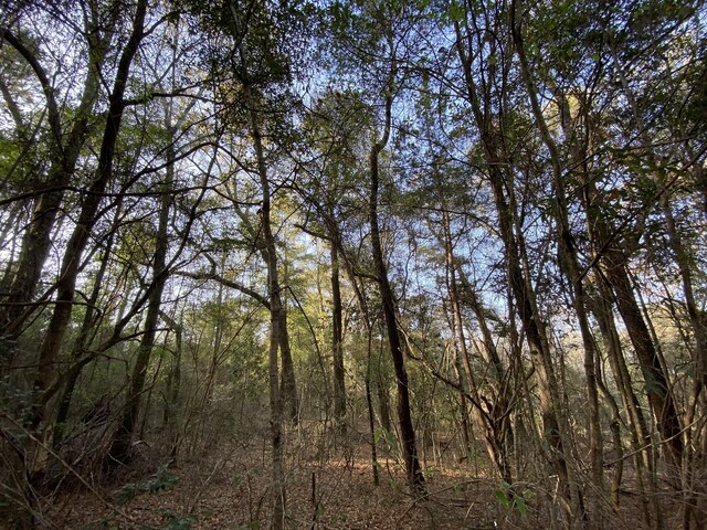 TBD Highway 602 10Ac+/-, Laurel Hill, FL 32567
