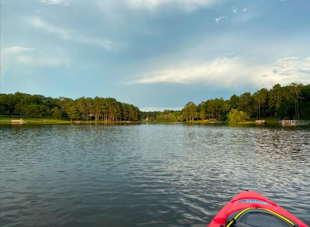 486 Ridge Lake Rd, Crestview, FL 32536 - water view featuring a heavily wooded area
