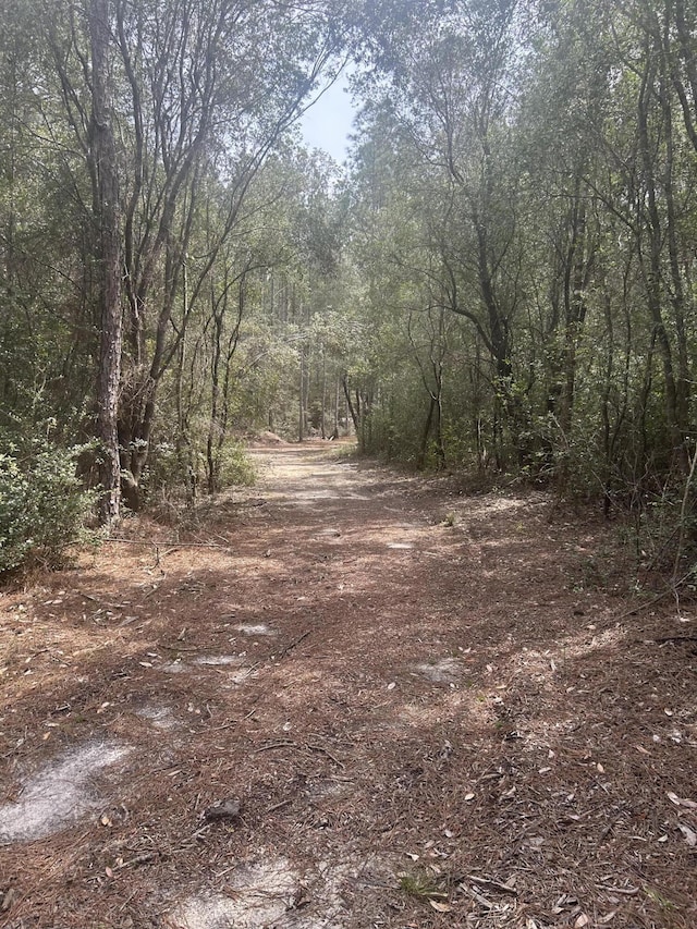 C12 Meander Crk Ln, Laurel Hill, FL 32567