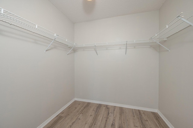 walk in closet featuring light wood-type flooring