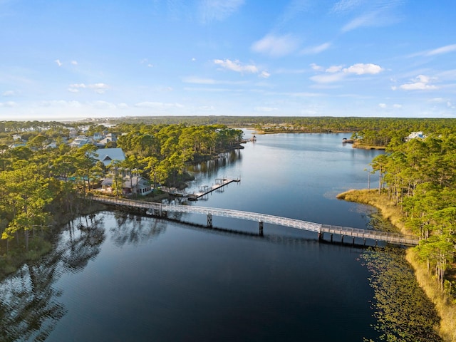 18 Crossvine Cir, Santa Rosa Beach, FL 32459 - photo 39
