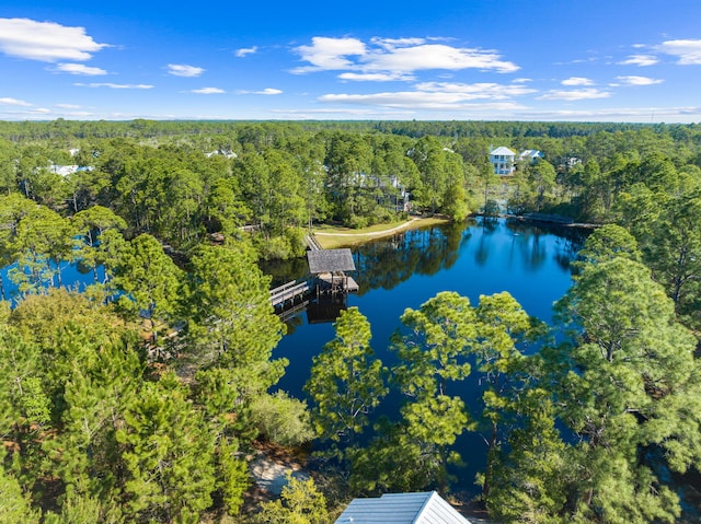 aerial view with a water view and a wooded view