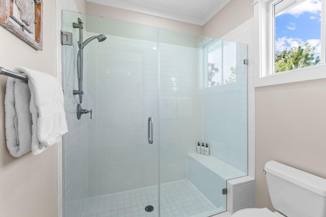 full bathroom featuring toilet and a stall shower
