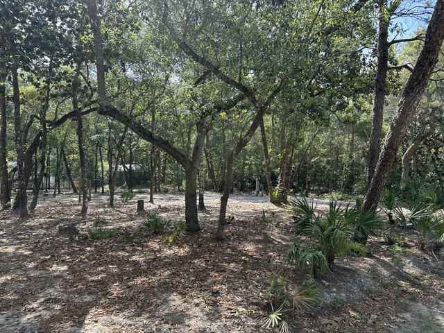 xx Turquoise Beach Drive, Santa Rosa Beach, FL 32459 - photo 2