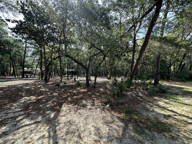 xx Turquoise Beach Drive, Santa Rosa Beach, FL 32459 - photo 4