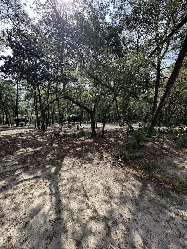 xx Turquoise Beach Drive, Santa Rosa Beach, FL 32459 - photo 5