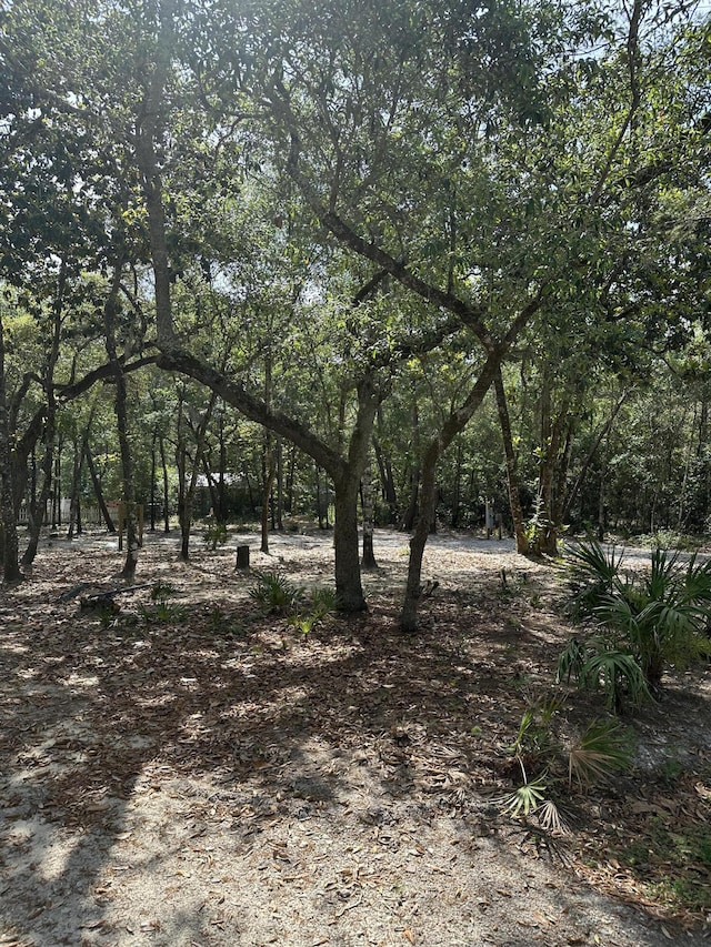 xx Turquoise Beach Drive, Santa Rosa Beach, FL 32459 - photo 8
