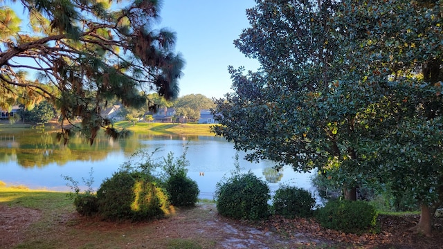 water view